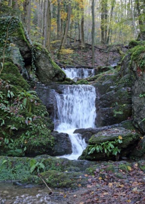 Laissez-Vous Enchanter Par La Vallee De La Meuse Hastiere-par-dela المظهر الخارجي الصورة