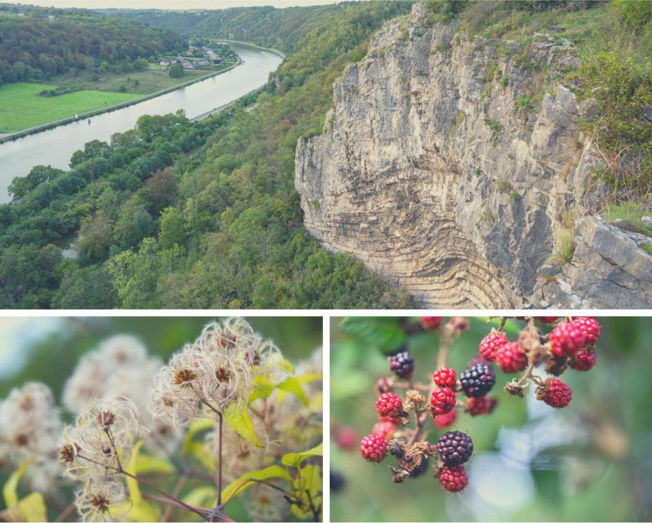 Laissez-Vous Enchanter Par La Vallee De La Meuse Hastiere-par-dela المظهر الخارجي الصورة